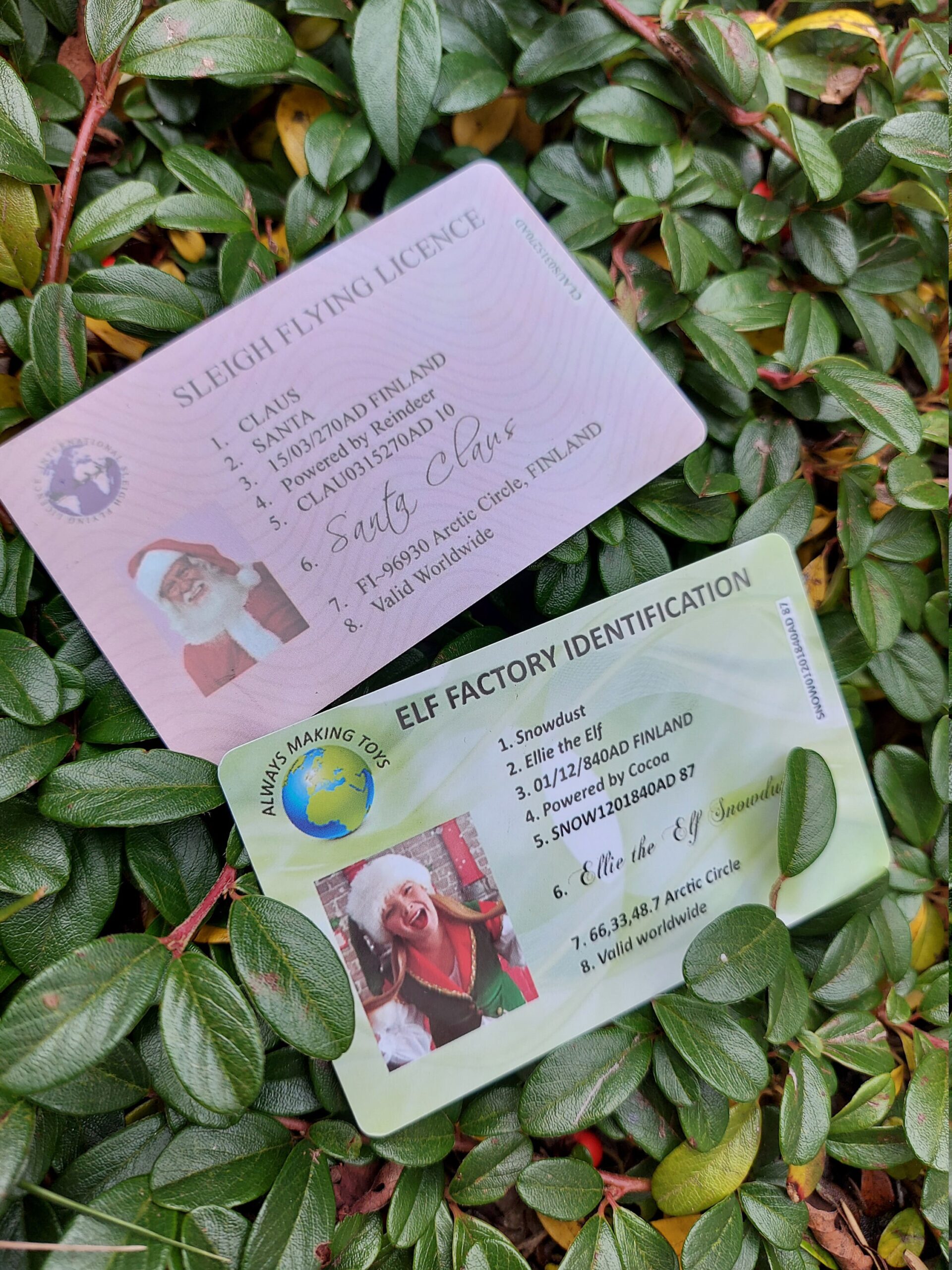 Santa Claus Lost ID card, Santas Driving License ,Father Christmas sleigh flying licence, Xmas Eve children novelty, fun, keepsake - Image 3