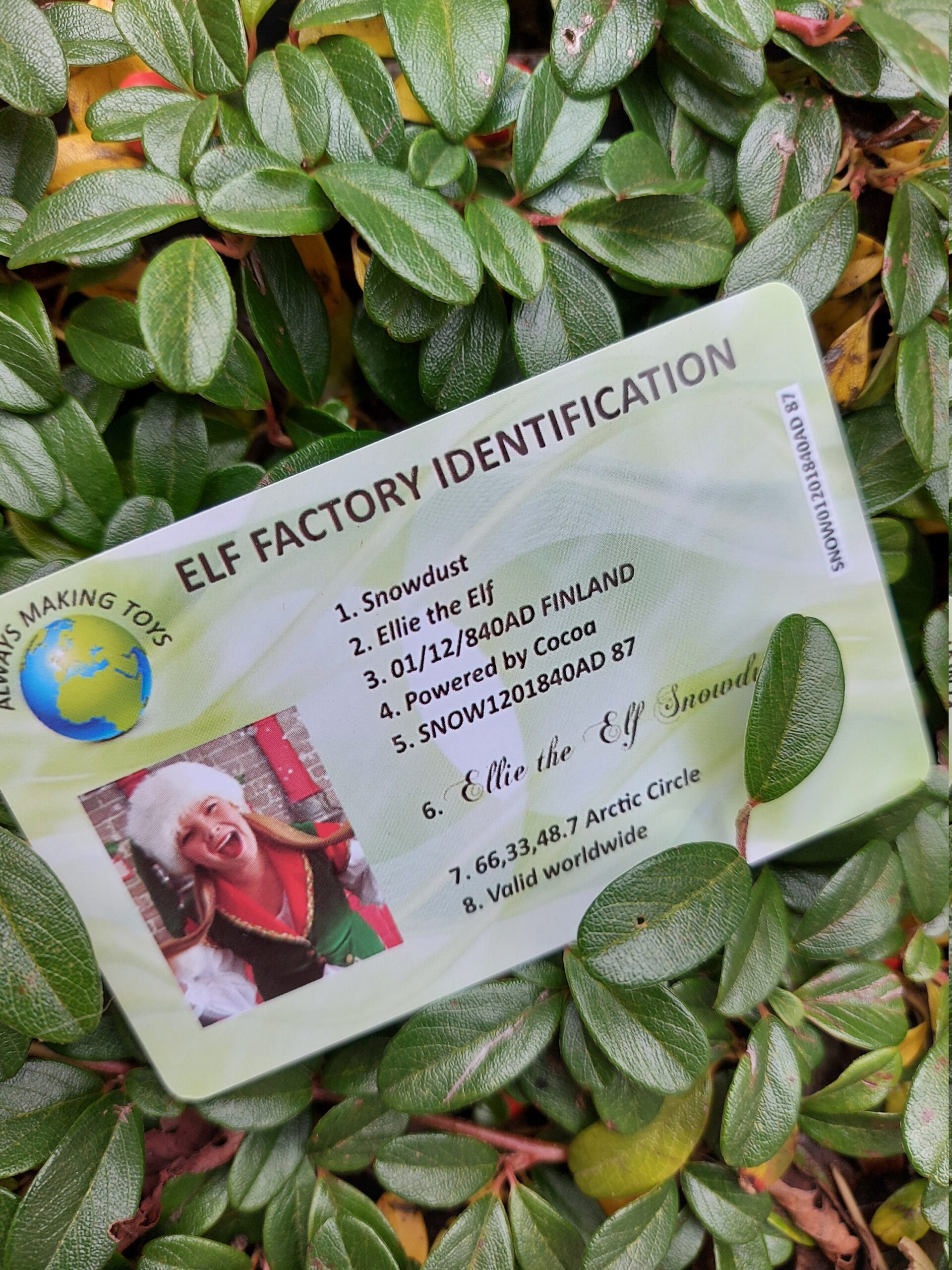 Santa Claus Lost ID card, Santas Driving License ,Father Christmas sleigh flying licence, Xmas Eve children novelty, fun, keepsake - Image 7