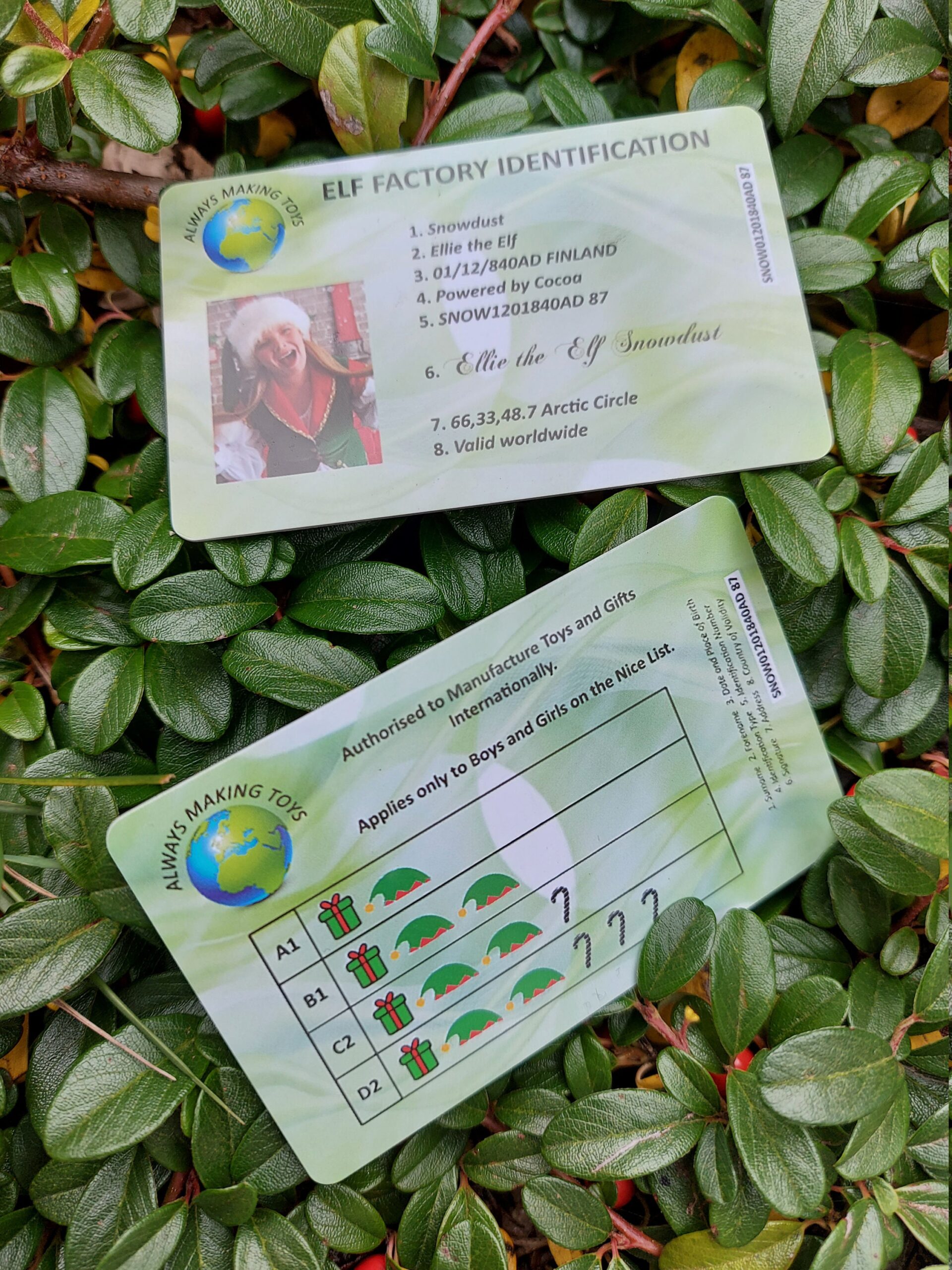 Santa Claus Lost ID card, Santas Driving License ,Father Christmas sleigh flying licence, Xmas Eve children novelty, fun, keepsake - Image 4